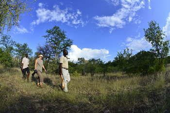 Mutale Falls Safari Camp Hotel Mukato Game Reserve Exterior photo